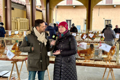 Fiera-di-Santa-Lucia-_14_