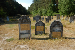 5-asparaggio-viaggio-lager-nazisti-Chelmno-cimitero