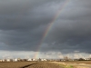 46-arcobaleno-cavallerleone