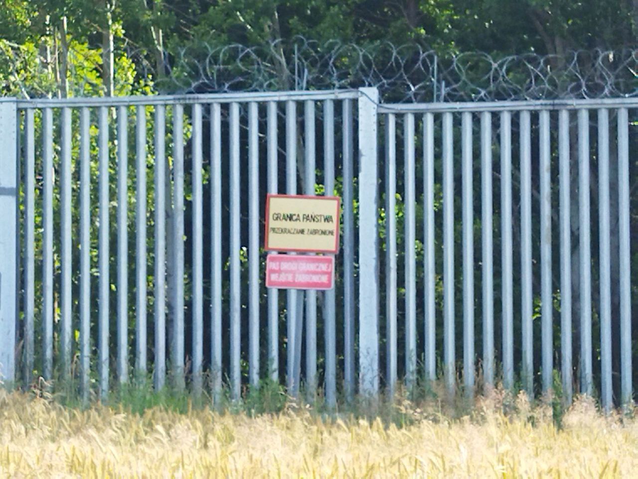 photo1688455724-3