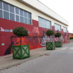 marene 1